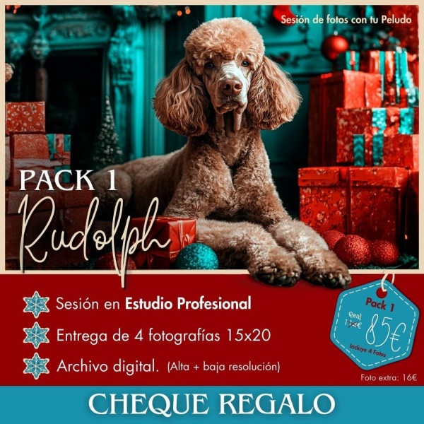 Sesiones de Navidad (Cheque Regalo) PAC 1 “Rudolph”